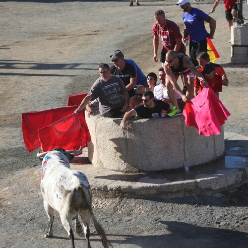 Toros 2023 miercoles 16 (25)